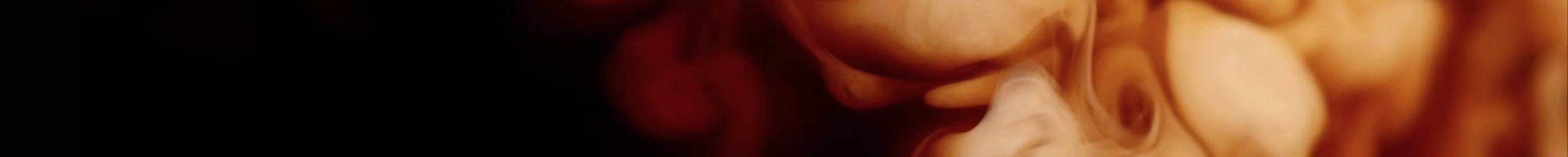 PROMOVERPAKKINGEN banner