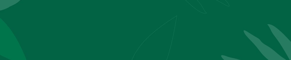 NEO STARBUCKS® banner
