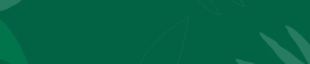 NEO STARBUCKS® banner