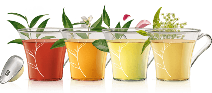 SPECIAL T capsules - thee en dranken | NESCAFÉ Dolce Gusto header image