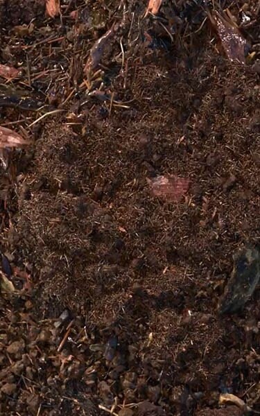 Gecomposteerde aarde