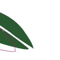 leaf 3