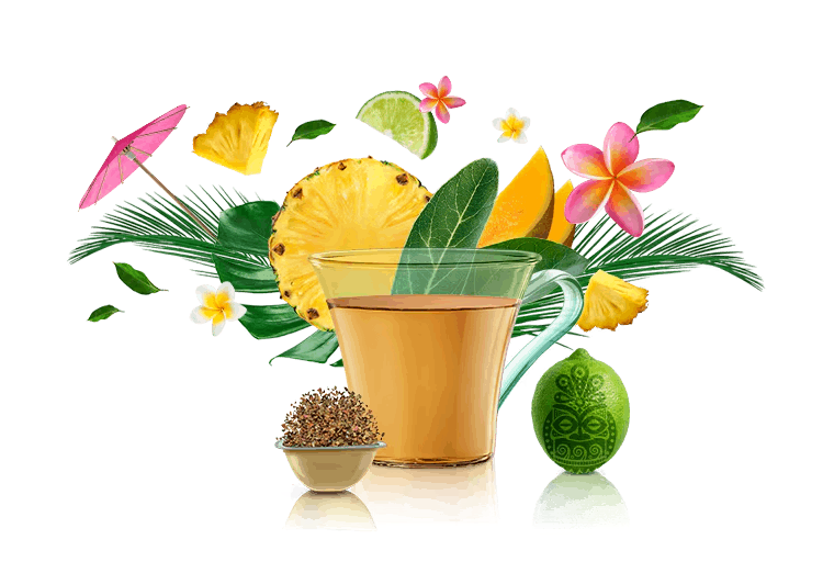 kop, capsules en ingredi&euml;nten