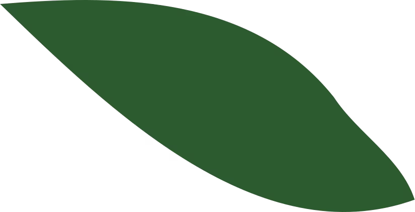 block one image 2 1 1