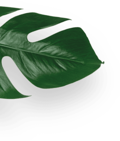 block three image 3 1