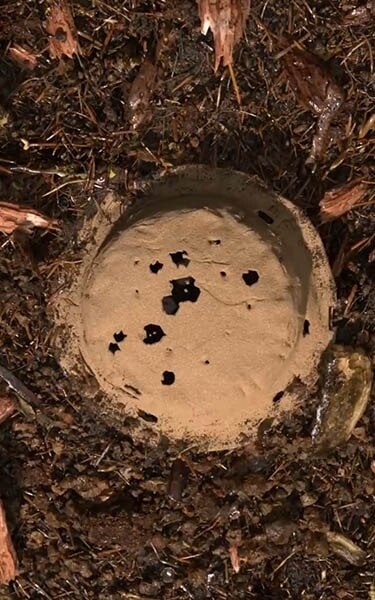 Gecomposteerde aarde