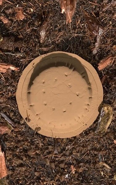 Gecomposteerde aarde