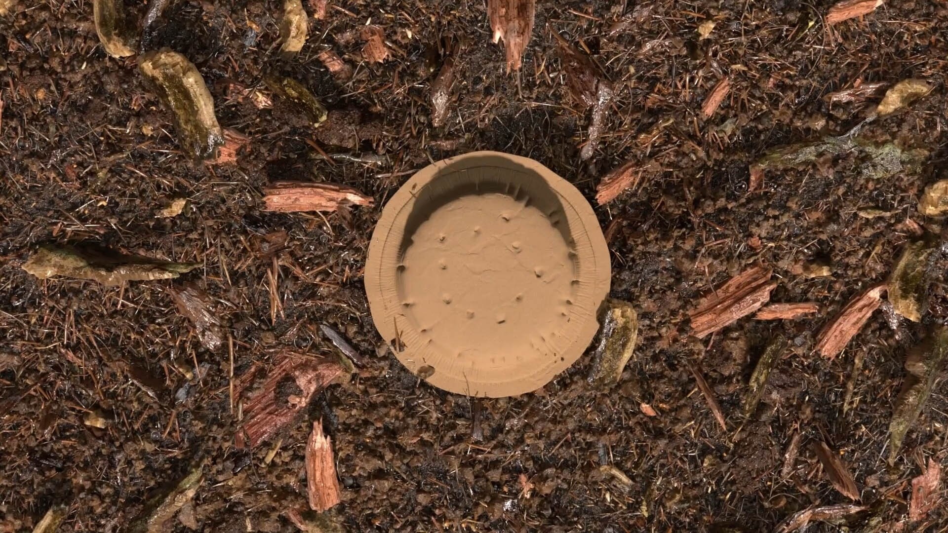 Gecomposteerde aarde