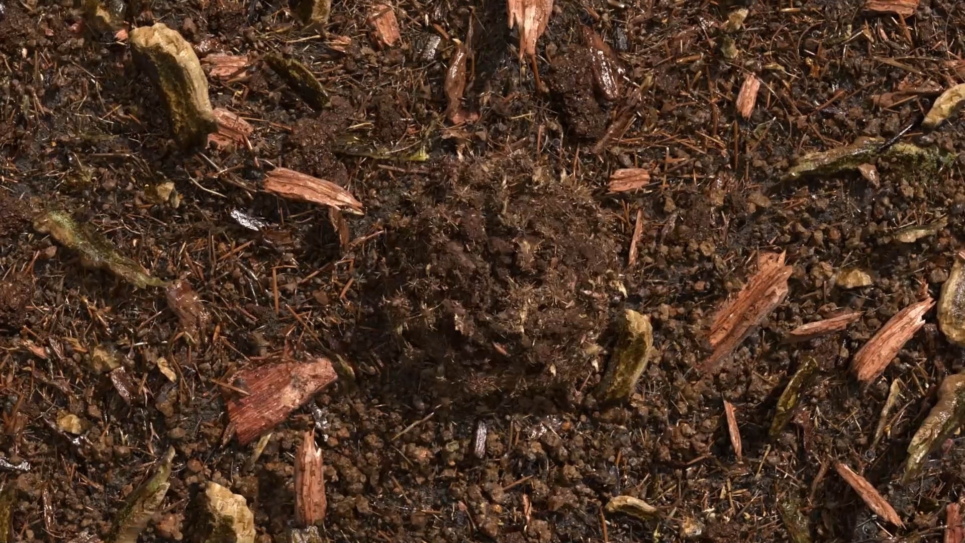 Gecomposteerde aarde