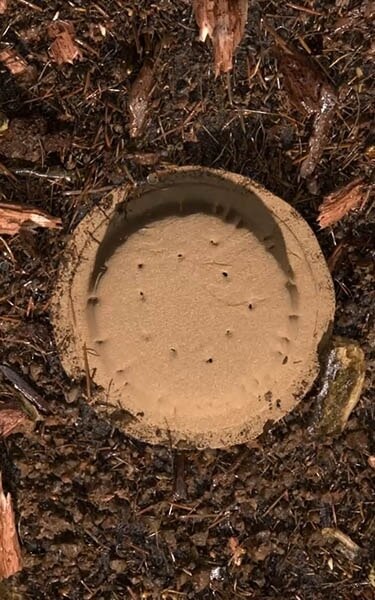 Gecomposteerde aarde