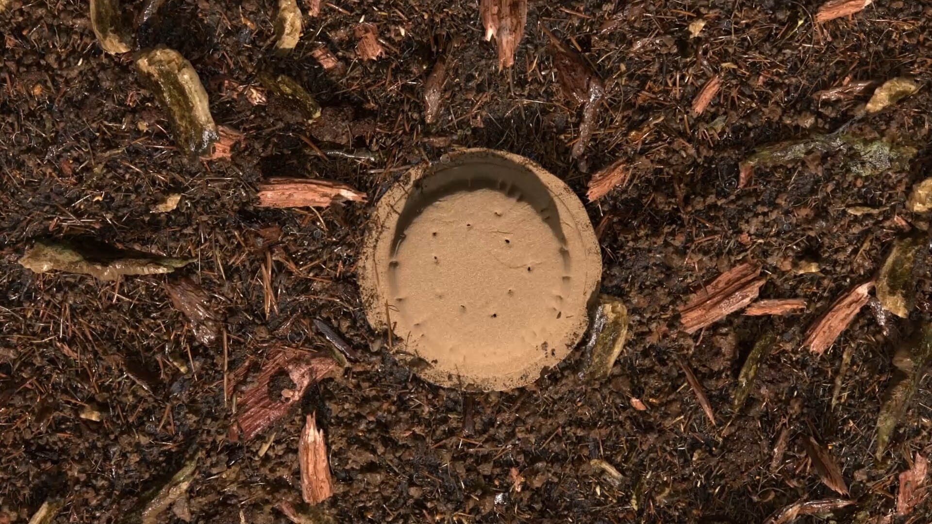 Gecomposteerde aarde