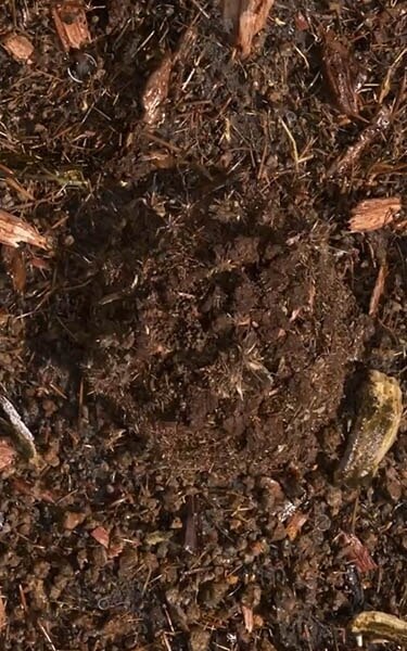 Gecomposteerde aarde