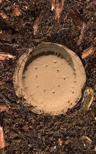 Gecomposteerde aarde