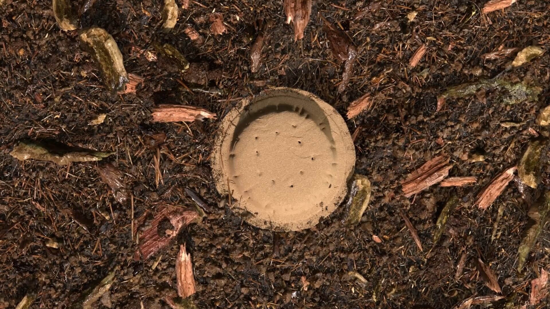 Gecomposteerde aarde