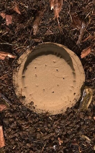 Gecomposteerde aarde