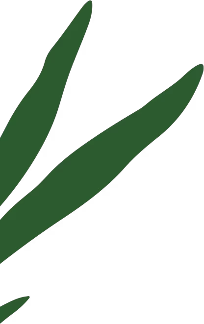 leaf green section three x 1