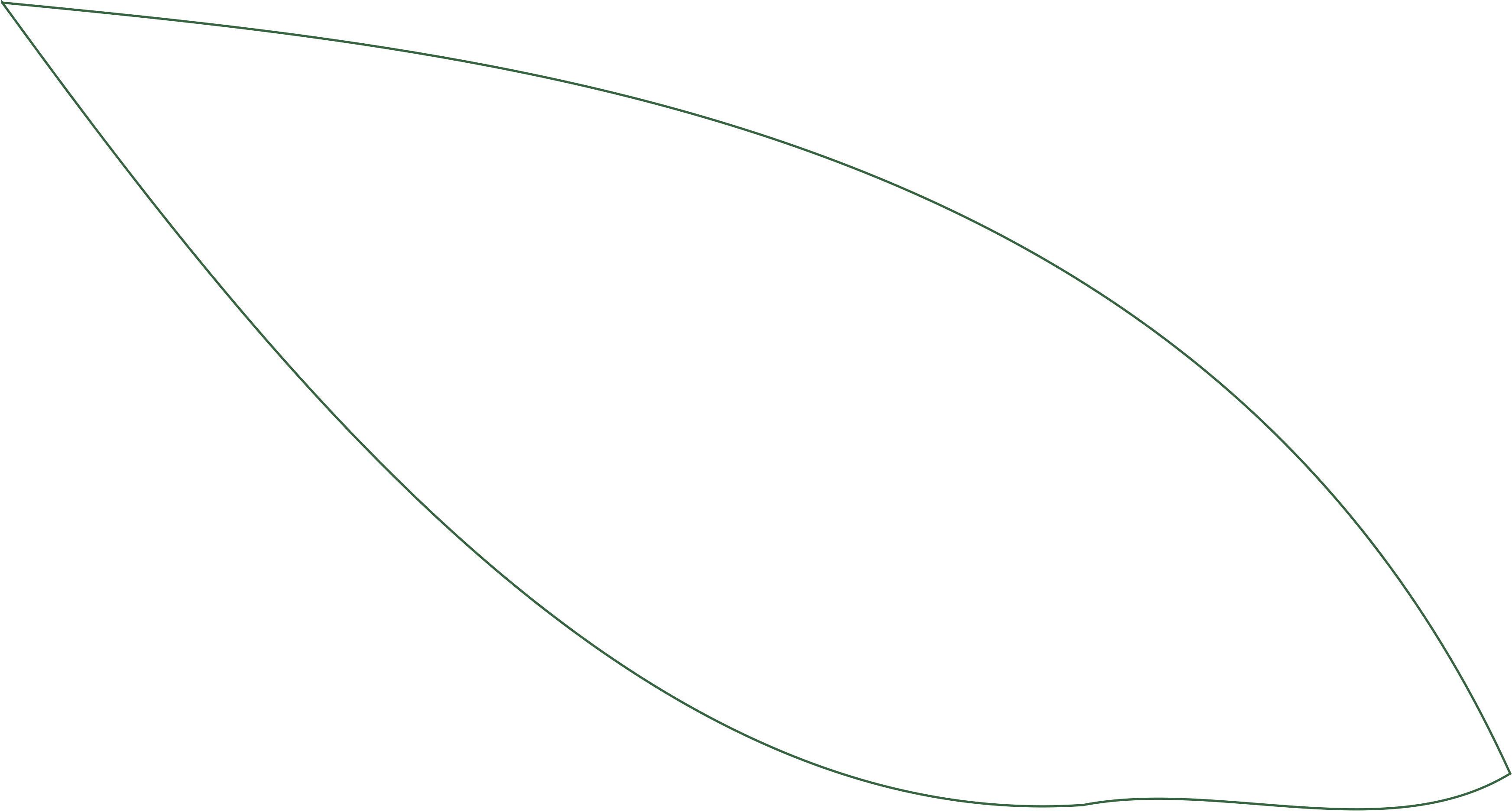 leaf stroke section3 2