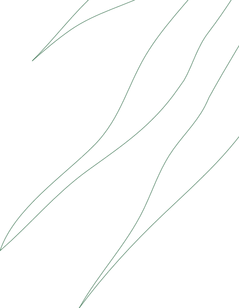 leaf stroke1 section4 2