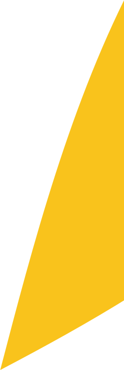 leaf yellow section two