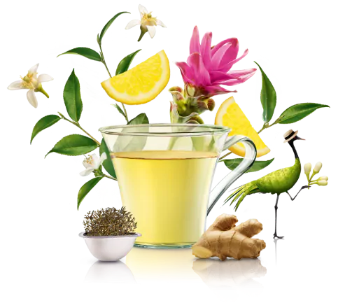 Th&eacute; vert Lemon & Ginger