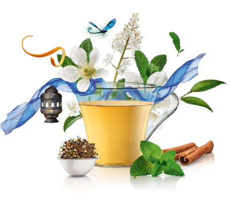 Th&eacute; vert Mint Marrakech Style